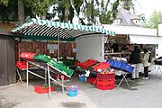 Spargelverkauf vom Waglerhof am Grünen Baum in der Münchner Verdistraße (Foto: Martin Schmitz)